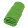 Полотенце Sea to Summit Pocket Towel зеленое
