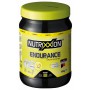 Напиток энергетический Nutrixxion ENERGY DRINK ENDURANCE lemon 700г